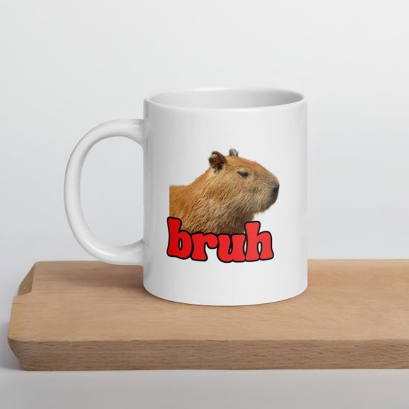 Funny pybara Mug, Bruh Mug, Animal Lover Mug, pybara Lovers Gift, Sarstic Mug, Coworker Gif.