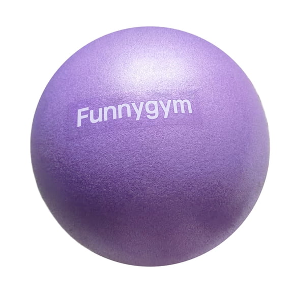 Funnygym Exercise equipment, namely, inflatable balls, Extra Thick Exercise Ball Yoga Ball for Workout Pregnancy Stability