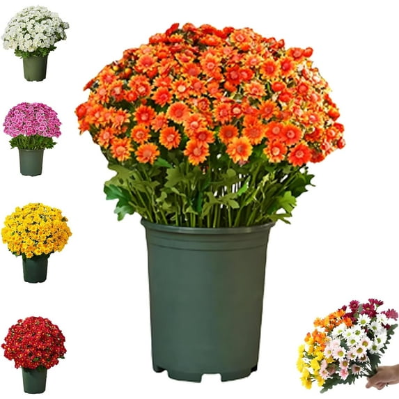 Funsdecor artificial mums, Artificial Outdoor Sunset Mums Flowers - UV Resistant, Waterproof, Windproof, Fall Flower Daisy With Eucalyptus, Look Real, Full, Vibrant