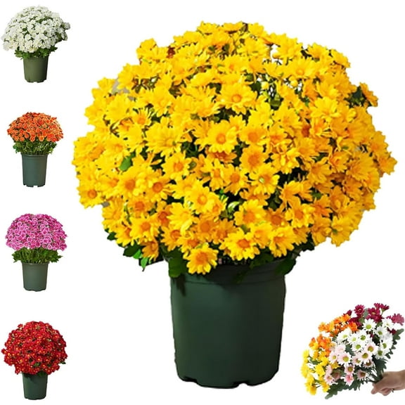 Artificial Outdoor Sunset Mums Flowers - UV Resistant, Waterproof, Windproof, Fake Fall Flower Daisy With Eucalyptus, Look Real, Full, Vibrant