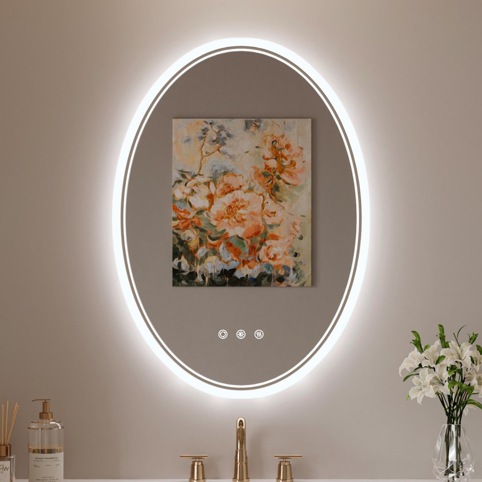 Funtouch 20" x 28" Oval LED Bathroom Mirror with Lights, Anti Fog LED ...