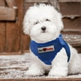 thumbnail image 1 of FurBaby Dog Harness with a Choke-Free Style, Blue, Small - NEW, 1 of 3