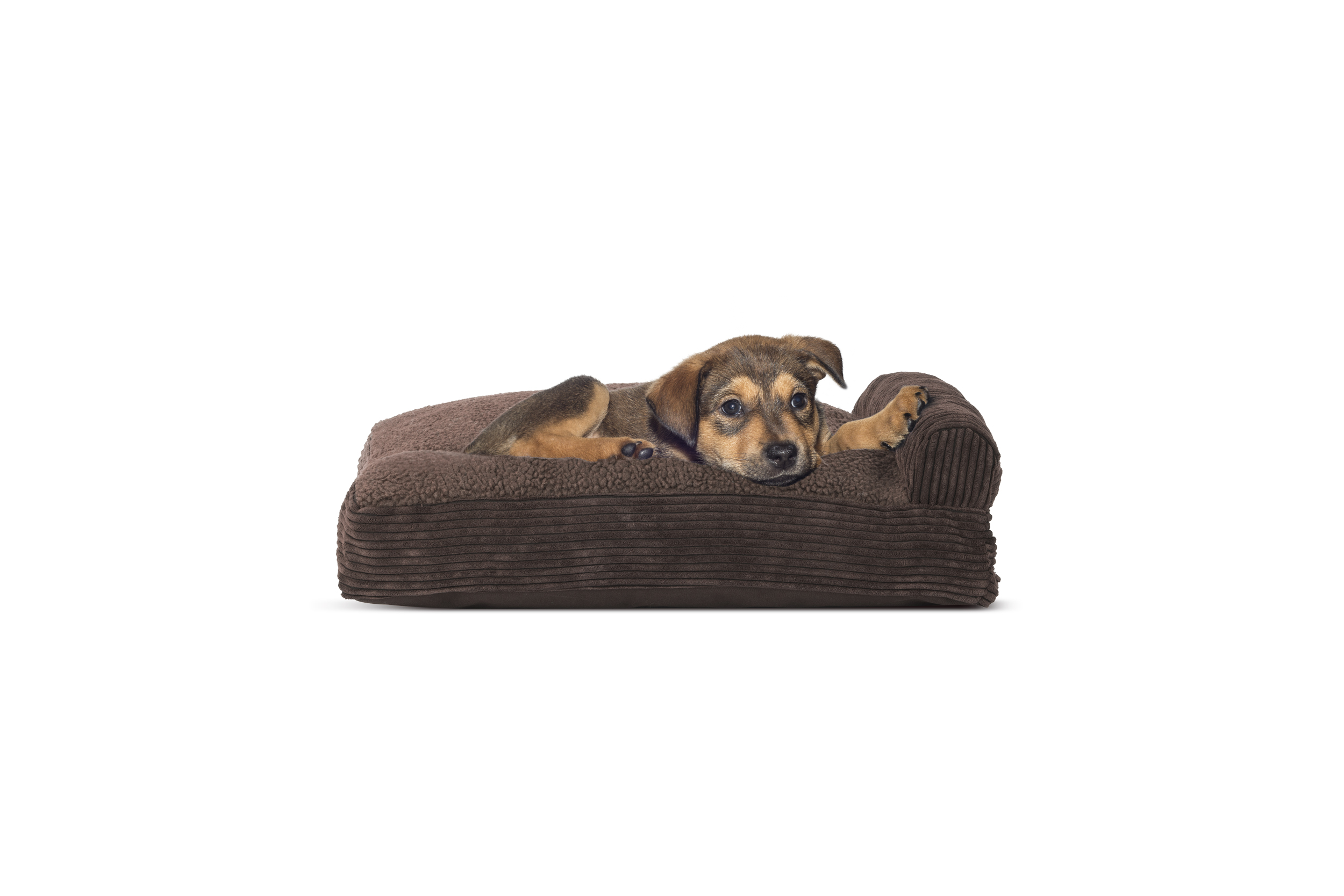 FurHaven Pet Kennel Pad Faux Lambswool & Sherpa Bolster Pet Bed for