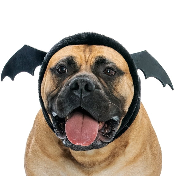 FurHaven Flex-Fit Pet Costume Hat for Dogs - Bat, L-XL