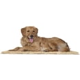 thumbnail image 1 of FurHaven Muddy Paws Super-Absorbent & Quick Dry Microfiber Pet Food Mat, Charcoal Gray, 1 of 10