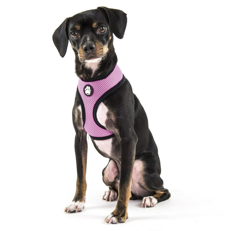 Pink mesh dog harness cheap