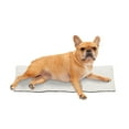 thumbnail image 1 of FurHaven Pet Heating Pad | ThermaPup Self-Warming Pad, Silver, Medium, 1 of 4
