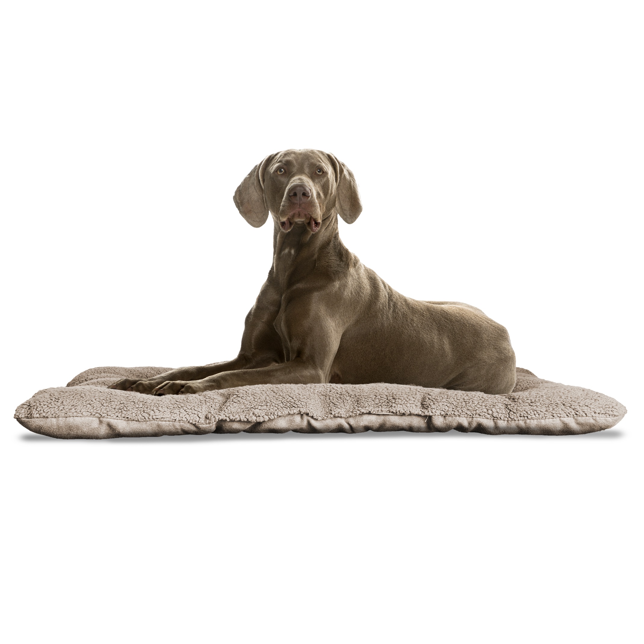 FurHaven Pet Kennel Pad Reversible Terry and Suede Pet Tufted Pillow