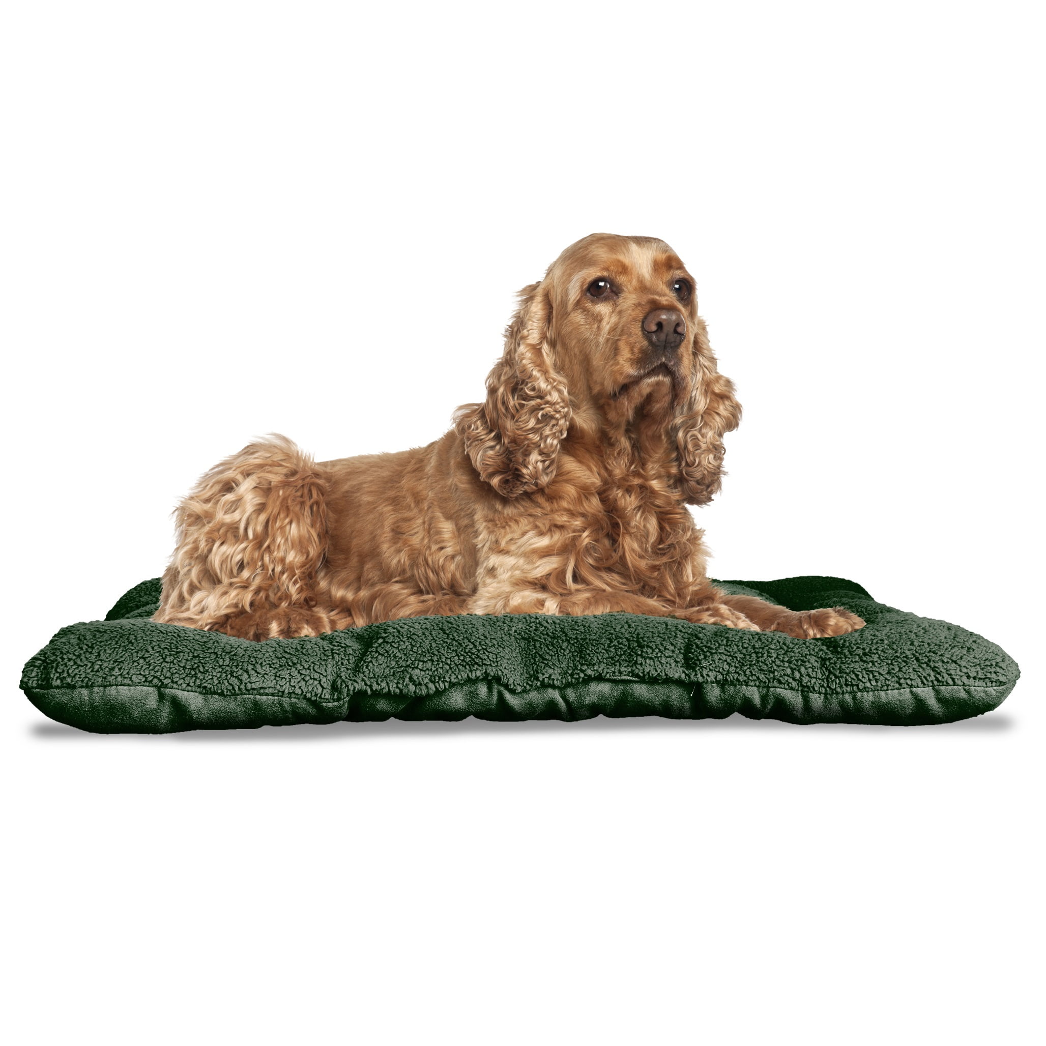 FurHaven Pet Kennel Pad Reversible Terry and Suede Pet Tufted Pillow Dog Bed for Crates