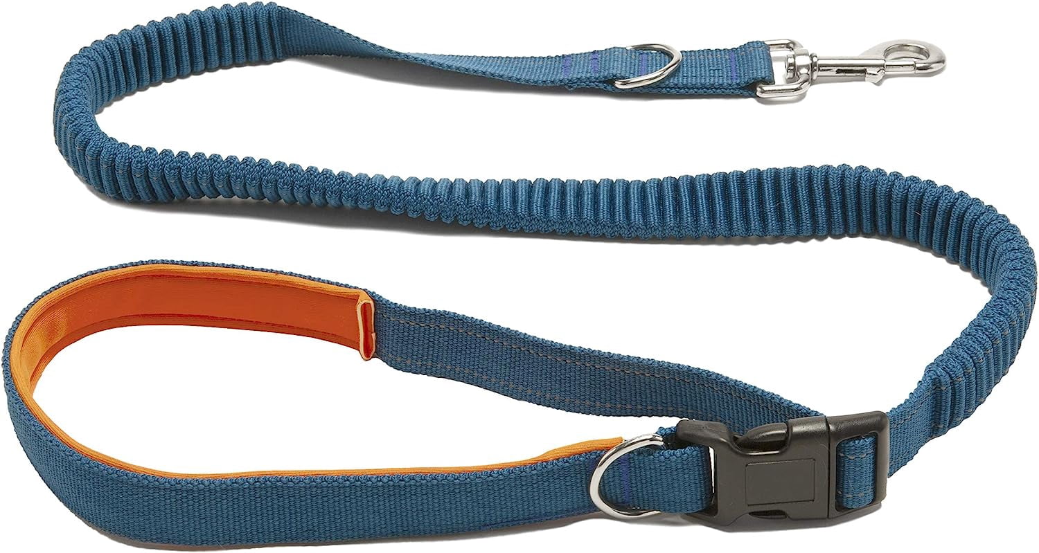 FurHaven Pet Leash | Easy-Tether Reflective Bungee Dog Leash, Dark Sea  Green - Walmart.com