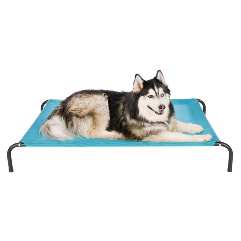 FurHaven Pet Products Elevated Cot Pet Bed Capri Blue, Extra