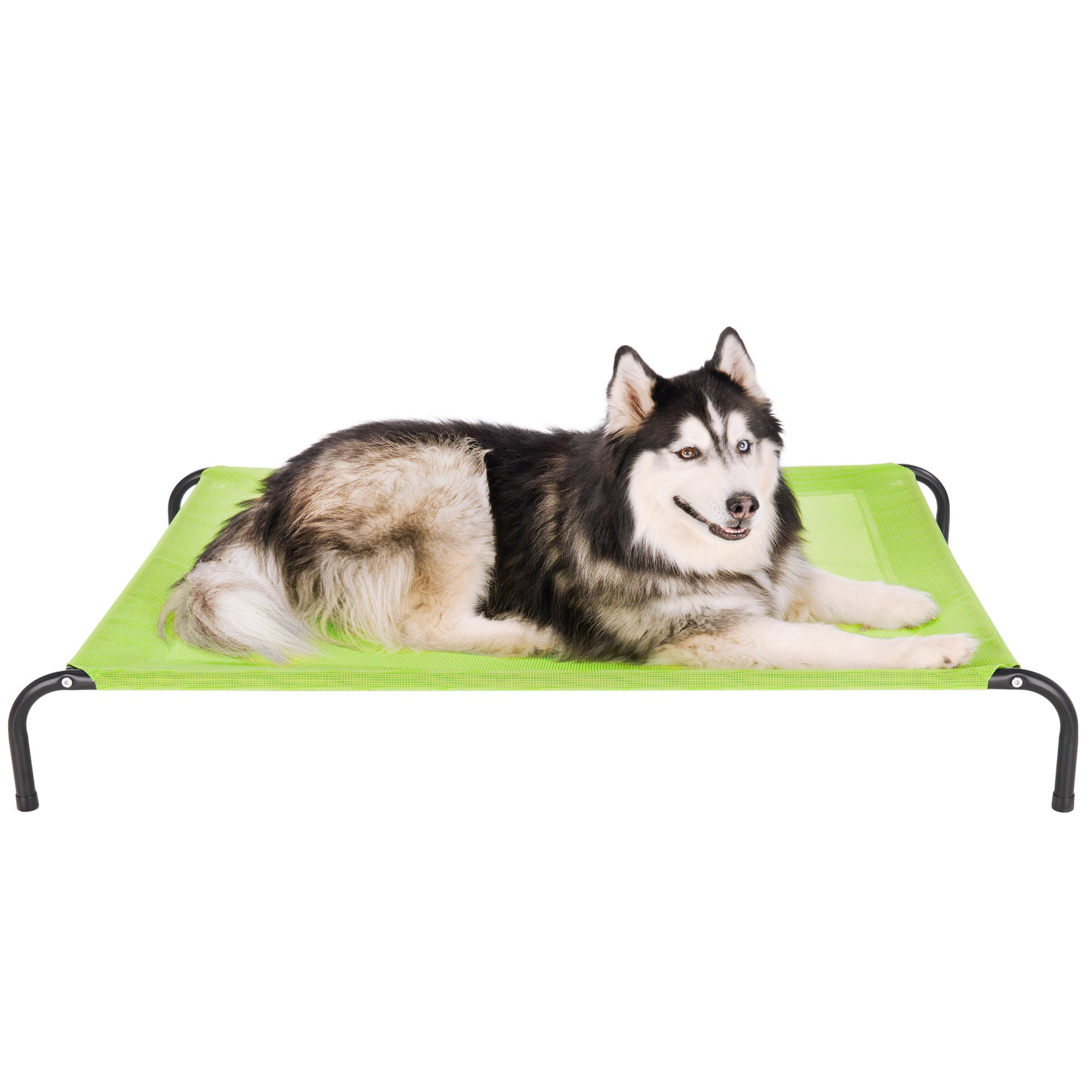 Elevated Cot Pet Bed, Cooling, Gecko Green, Extra Large, 1 Count
