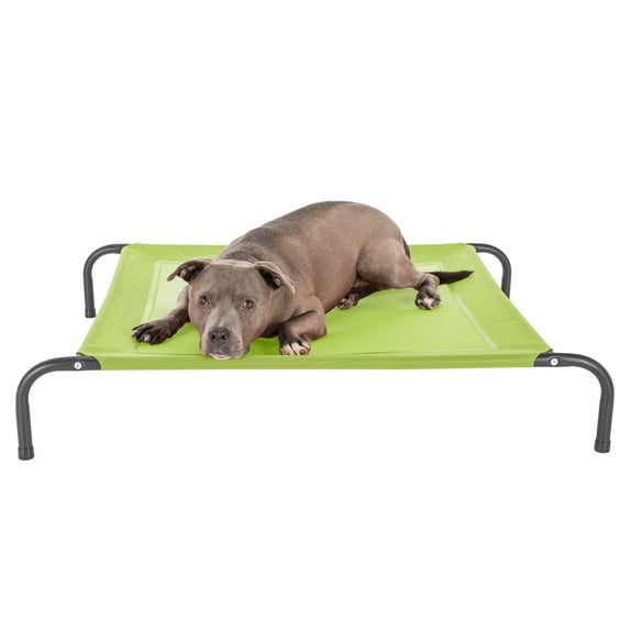 FurHaven Pet Products Elevated Cot Pet Bed - Gecko Green, Medium