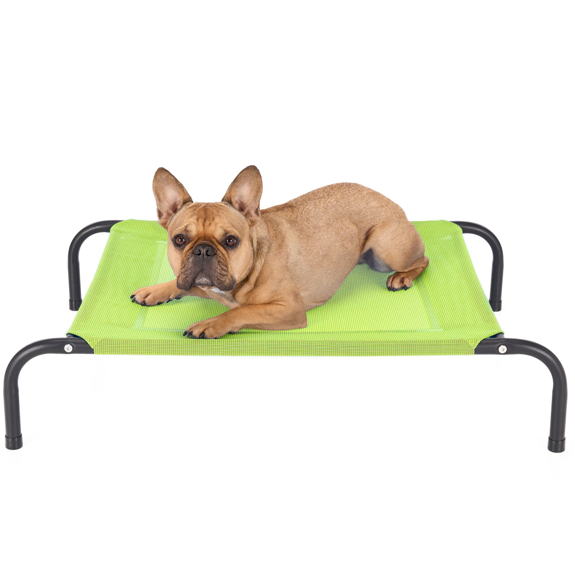 Small Gecko Green Elevated Outdoor Pet Cot Bed