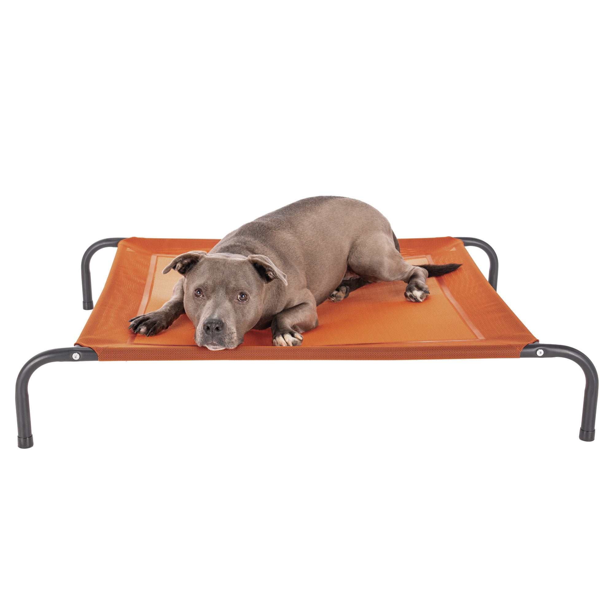 Elevated Cot Pet Bed, Cooling, Terracotta Red, Medium, 1 Count