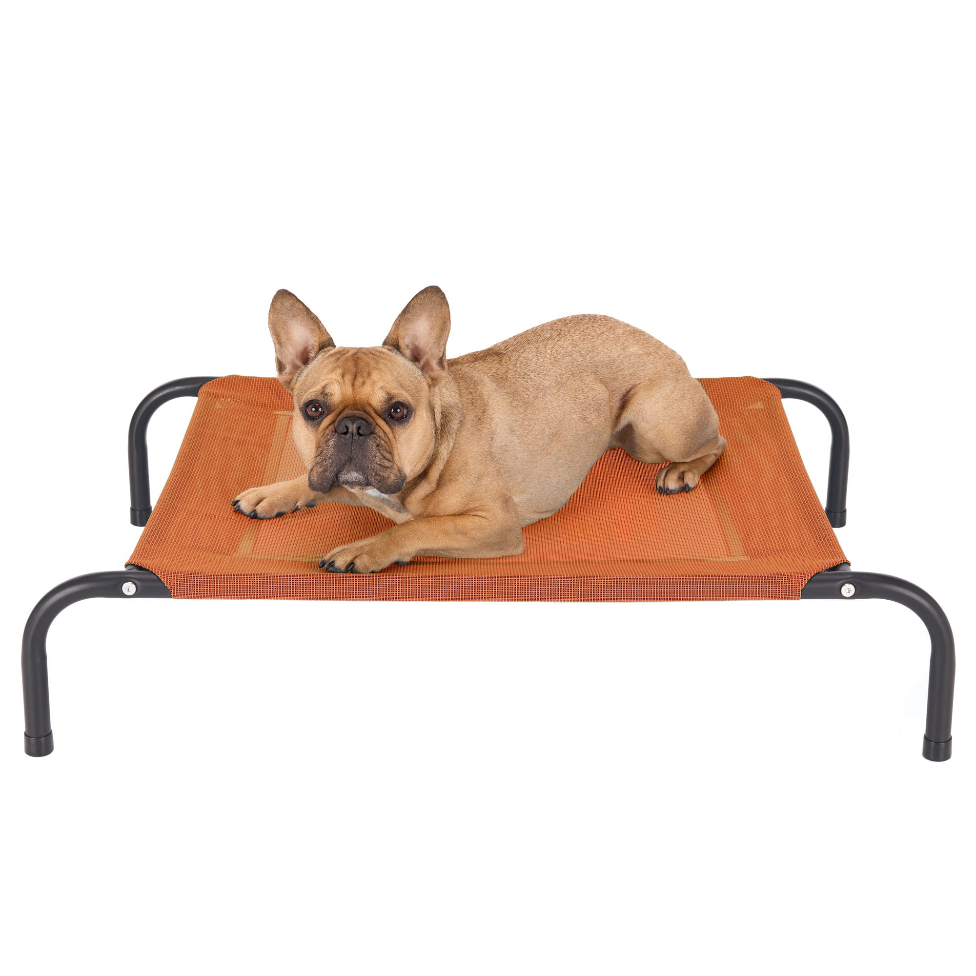 Small Terracotta Red Outdoor Elevated Pet Cot