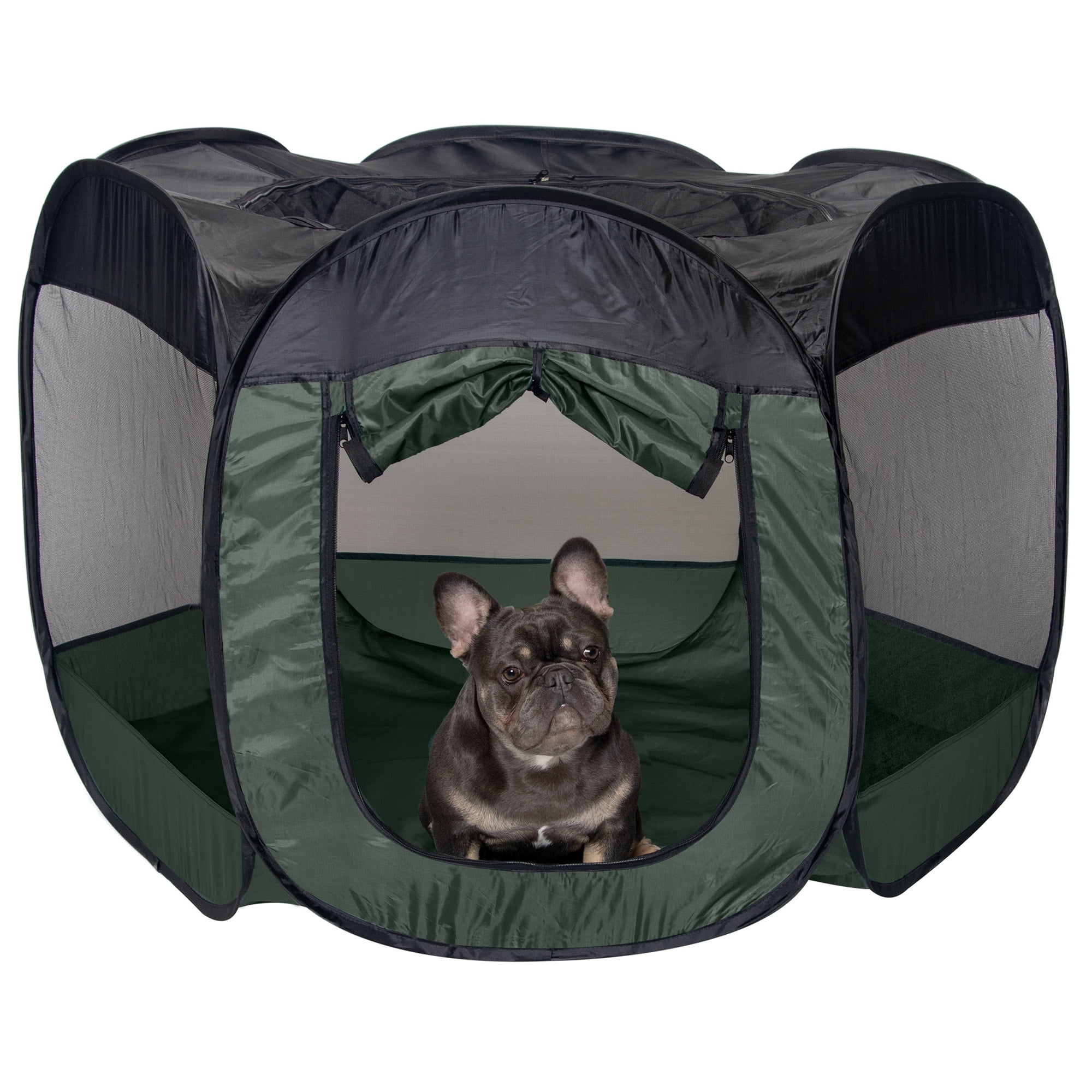 Hunter pet carrier cheap