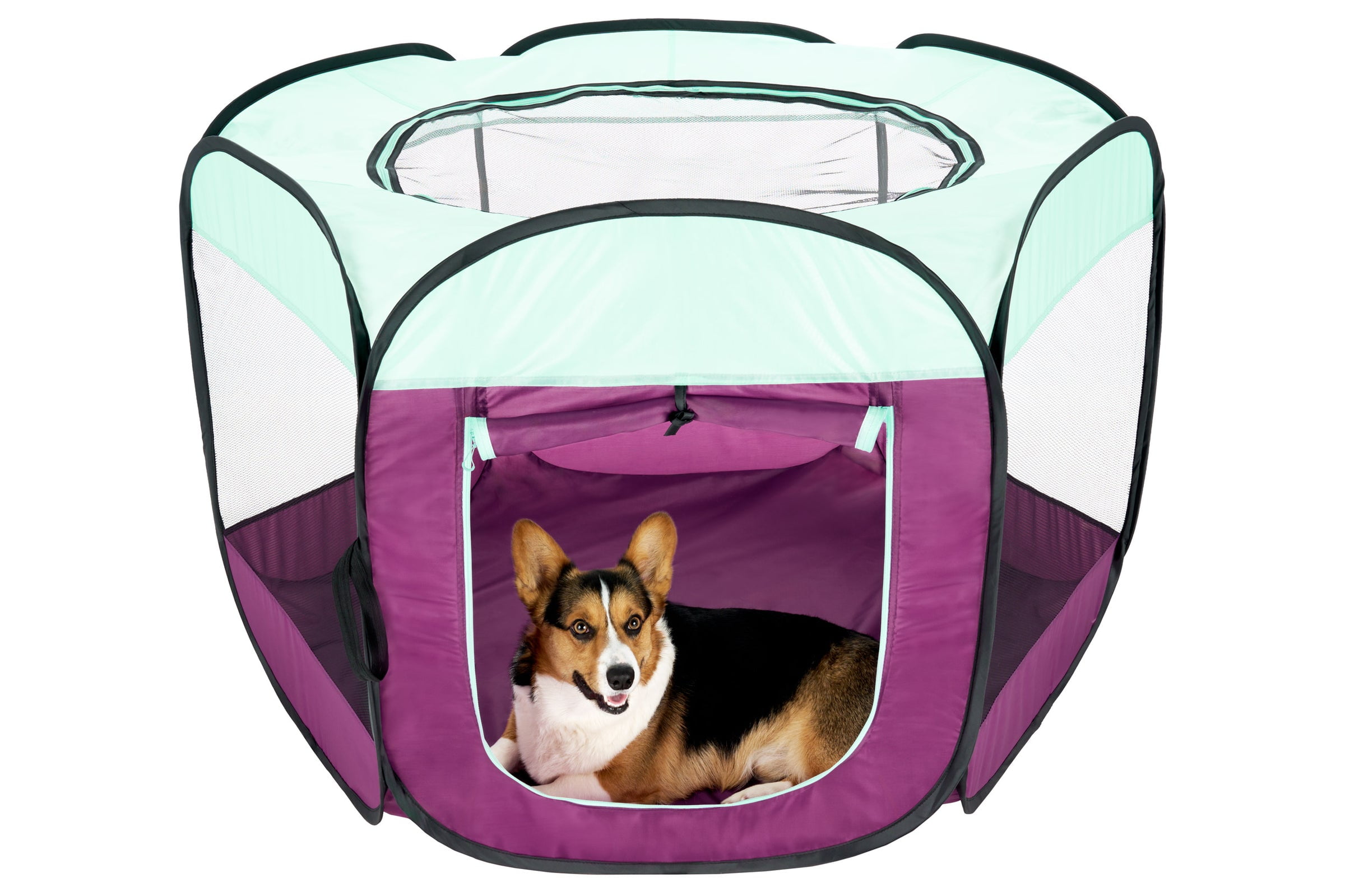 Large Purple Mesh Pet Playpen with Zippered Door