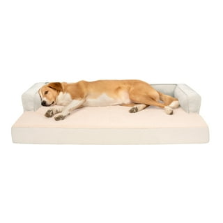 Large dog beds under $20 sales