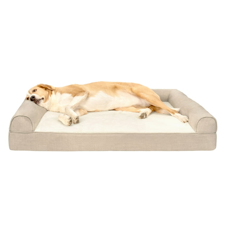 Absolute pet dog bed 2025