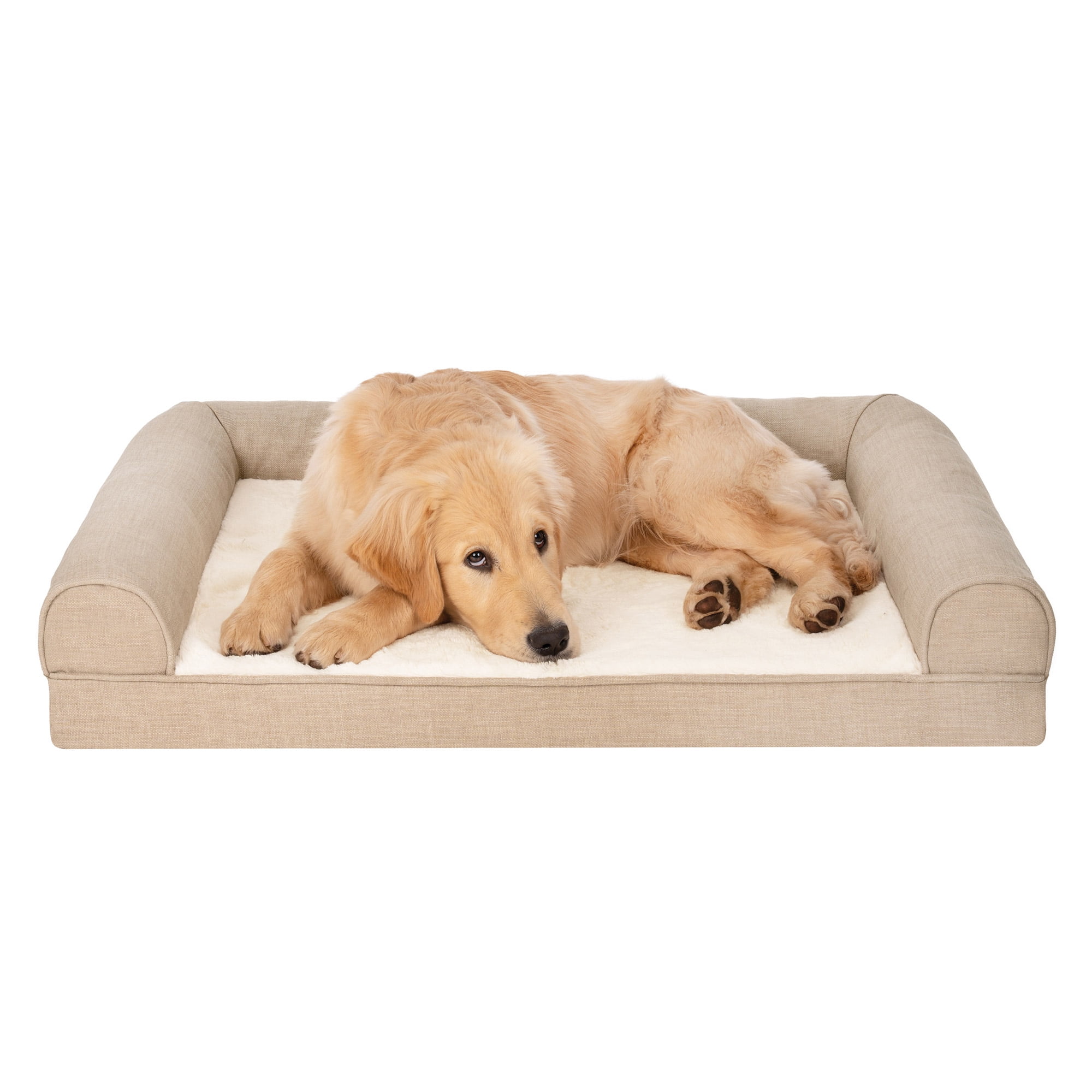 Walmart dog clearance beds in store