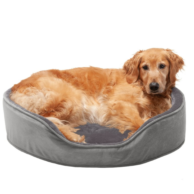 Oval pet cushion hotsell
