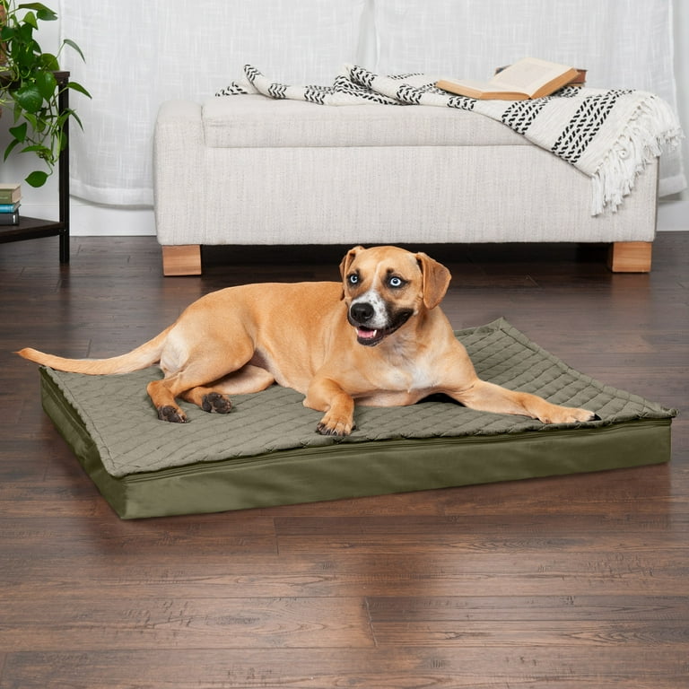 Furhaven pet store