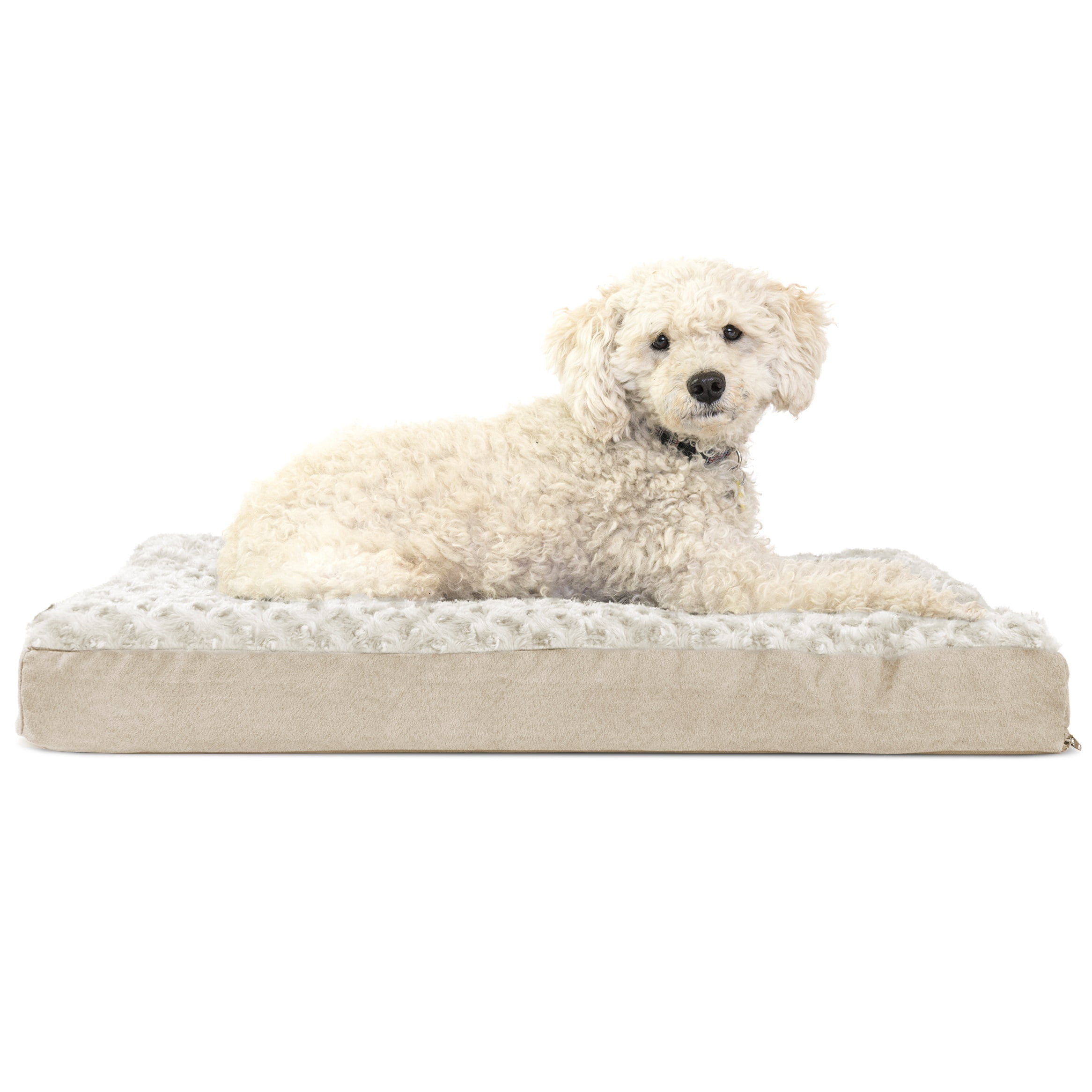 Medium Cream Orthopedic Foam Outdoor Dog Bed