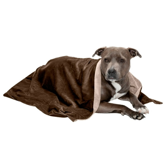 FurHaven Pet Products Waterproof Velvet Throw Blanket - Brownstone, Large