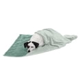 thumbnail image 1 of FurHaven Pet Products Waterproof Velvet Throw Blanket - Celadon Green, Medium, 1 of 12