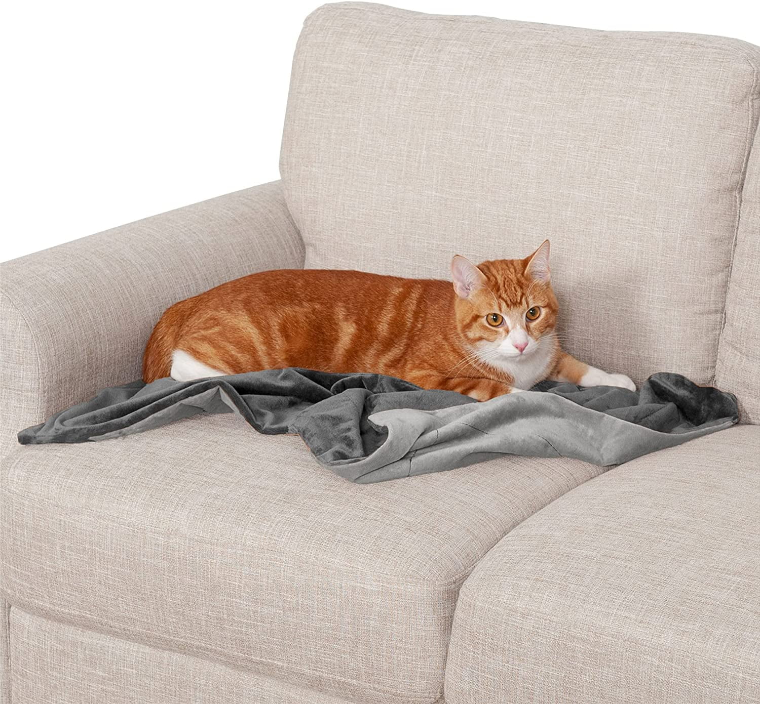Small Granite Gray Velvet Waterproof Reversible Pet Throw Blanket