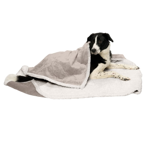 FurHaven Snuggly & Warm Soft-Edge Warming Waterproof Pet Throw Blanket - Extra Large, Dove