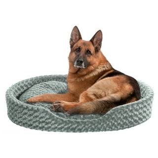 Halo brand dog bed hotsell