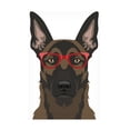 thumbnail image 1 of Furbaby Affiliates 'Belgian Malinois Wearing Hipster Glasses' Canvas Art, 1 of 3