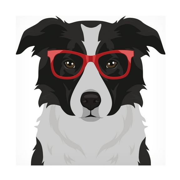 Furbaby Affiliates 'Border Collie Wearing Hipster Glasses' Canvas Art