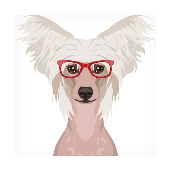 Furbaby Affiliates 'Chinese Crested Wearing Hipster Glasses' Canvas Art