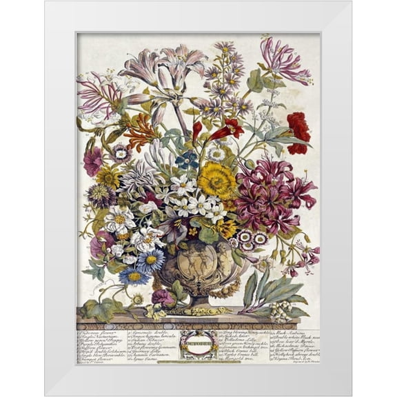 Furber, Robert 11x14 White Modern Wood Framed Museum Art Print Titled - October - Twelve Months of Flowers