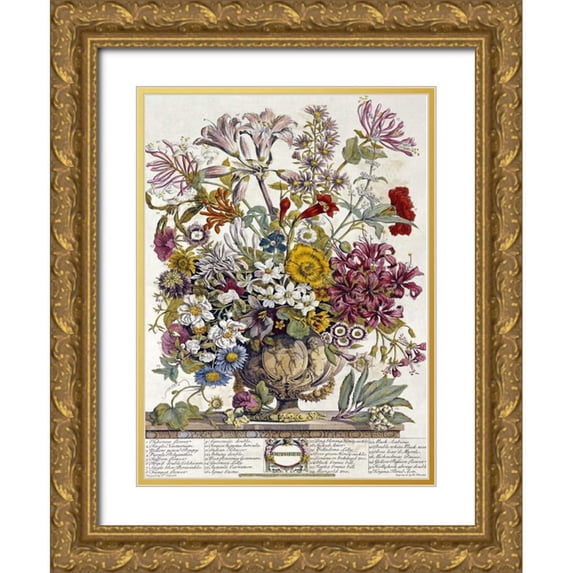 Furber, Robert 19x24 Gold Ornate Wood Framed with Double Matting Museum Art Print Titled - October - Twelve Months of Flowers