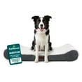 thumbnail image 1 of Furhaven Pet Products Luxe Lounger Large Orthopedic Contour Dog  Bed, Gray, 38 lb limit, 1 of 8