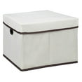 thumbnail image 1 of Furinno Non-Woven Fabric Heavy-Duty Storage Organizer, 1 of 9