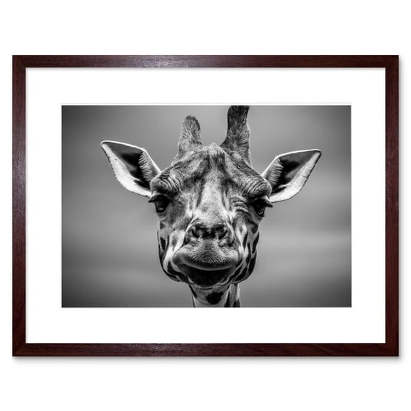 Furlan Giraffe Head Face Framed Wall Art Print