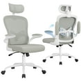 thumbnail image 1 of Furmax High Back Office Chair Ergonomic Mesh Desk Chair with Adjustable Lumber Support, Headrest and Flip up Armrest, Gray, 1 of 7