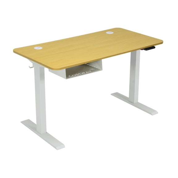 Furnibear 48-Inch Electric Standing Desk Adjustable Height with Memory Control Panel and USB Port, Natural