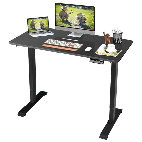 Furnibear Electric Height Adjustable Standing Desk with Memory Controller Writing Workstation Home Office for Bedroom Study, Black