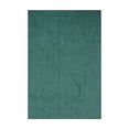 thumbnail image 1 of Furnish My Place DC Custom Rug - 4 ft. x 5 ft., Teal, Indoor Rug for Bedrooms, Hallways, Living Rooms, 1 of 12