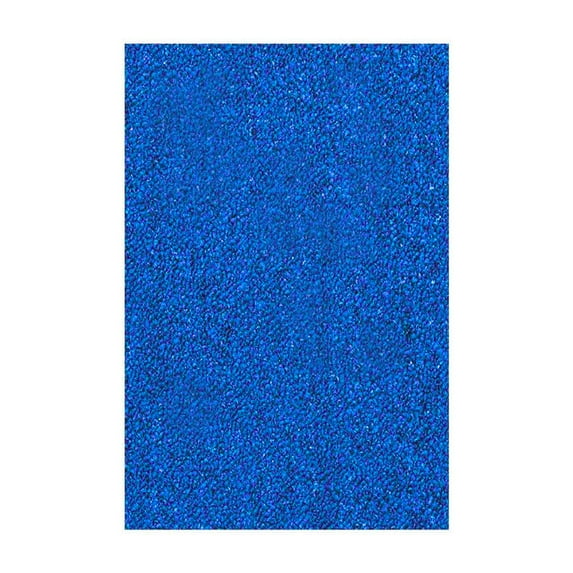 Furnish My Place Modern Plush Solid Color Indigo Blue Rug, Indoor Area Rug, Home Décor Mat, Pet-Friendly Carpet, Perfect for Living Room, Wedding, Made in USA - 2' x 4' Rectangle