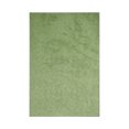 thumbnail image 1 of Furnishmyplace Modern Plush Solid Color Rug - Pet Friendly, Made in USA, Lime Green Area Rugs 10' x 20', 1 of 12