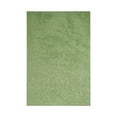thumbnail image 1 of Furnish my Place Modern Plush Solid Color Rug - Lime Green, 7' x 9', Pet and Kids Friendly Rug. Made in USA, Rectangle, Area Rugs Great for Kids, Pets, Event, Wedding, 1 of 12