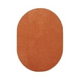 thumbnail image 1 of Furnish my Place Modern Plush Solid Color Rug - Orange, 4' x 6' Oval, Pet and Kids Friendly Rug. Made in USA, Oval, Area Rugs Great for Kids, Pets, Event, Wedding, 1 of 12