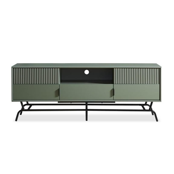 Furniture Of America Haft Wood Multi-Storage TV Stand in Sage Green and Black
